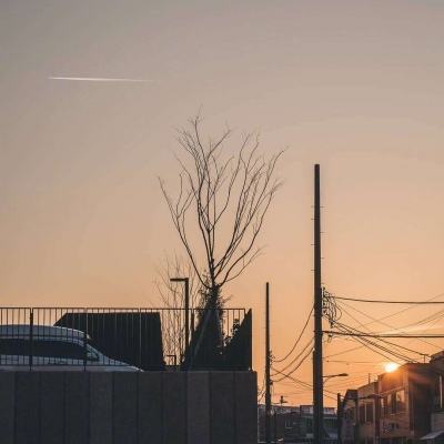 体育竞彩推荐平台app